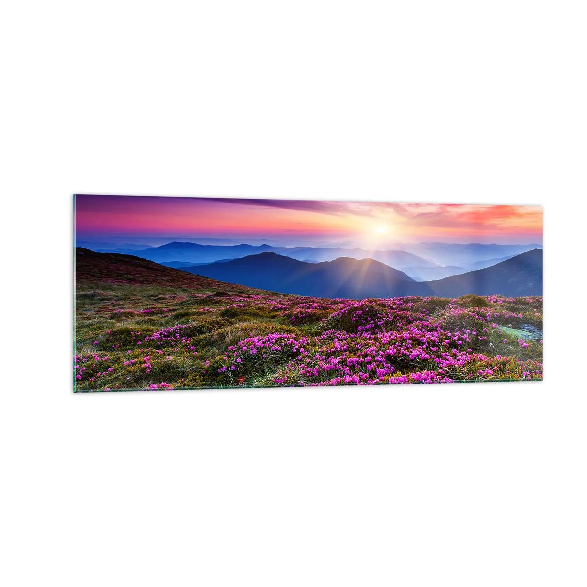 Glasbild - Bild auf glas - Bergwiese mit Blumen bei Sonnenuntergang - 140x50cm - Kräuter dufteten nach frischen Trauben von den Feldern - Moderne Wanddekoration für Wohnzimmer und Schlafzimmer ARTTOR