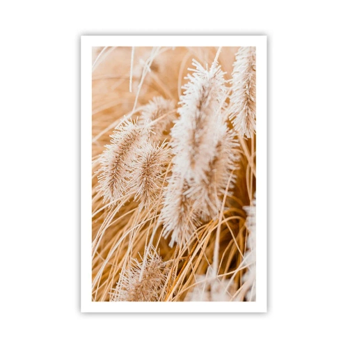 Poster - Das goldene Rauschen des Grases - 61x91 cm
