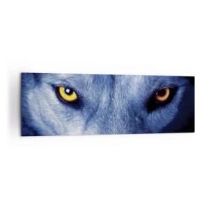 Bild auf Leinwand - Leinwandbild - Nahaufnahme des intensiven Blicks eines Wolfes vor dunklem Hintergrund - 160x50cm - Faszinierender Blick - Moderne Wanddekoration für Wohnzimmer und Schlafzimmer ARTTOR