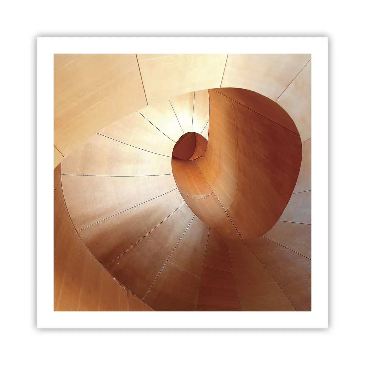 Poster - Architektonische Serpentine - 60x60 cm