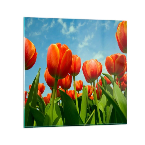 Glasbild - Bild auf glas - Außer dem blauen Himmel brauchen sie nichts in ihrem Leben - 40x40 cm