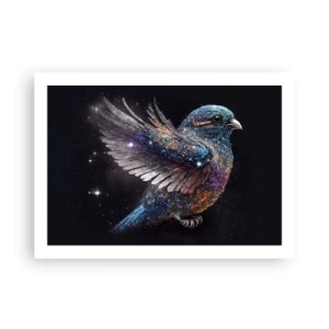 Poster - Diamantsperling - 70x50 cm