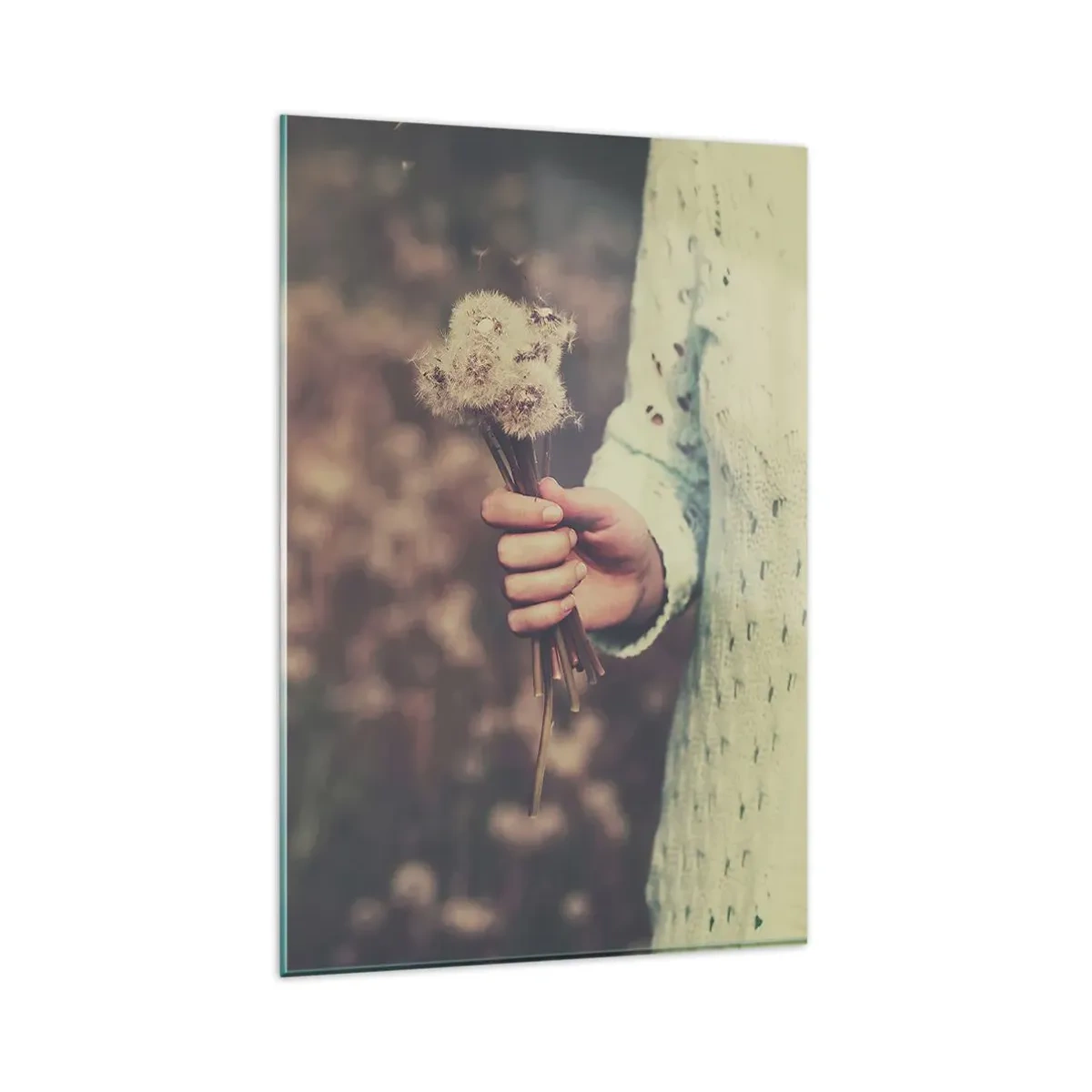 Glasbild - Bild auf glas - Eine Hand hält Löwenzahn vor dem unscharfen Hintergrund eines Feldes voller Blumen. - 80x120cm - Bitte behalte sie - Moderne Wanddekoration für Wohnzimmer und Schlafzimmer ARTTOR