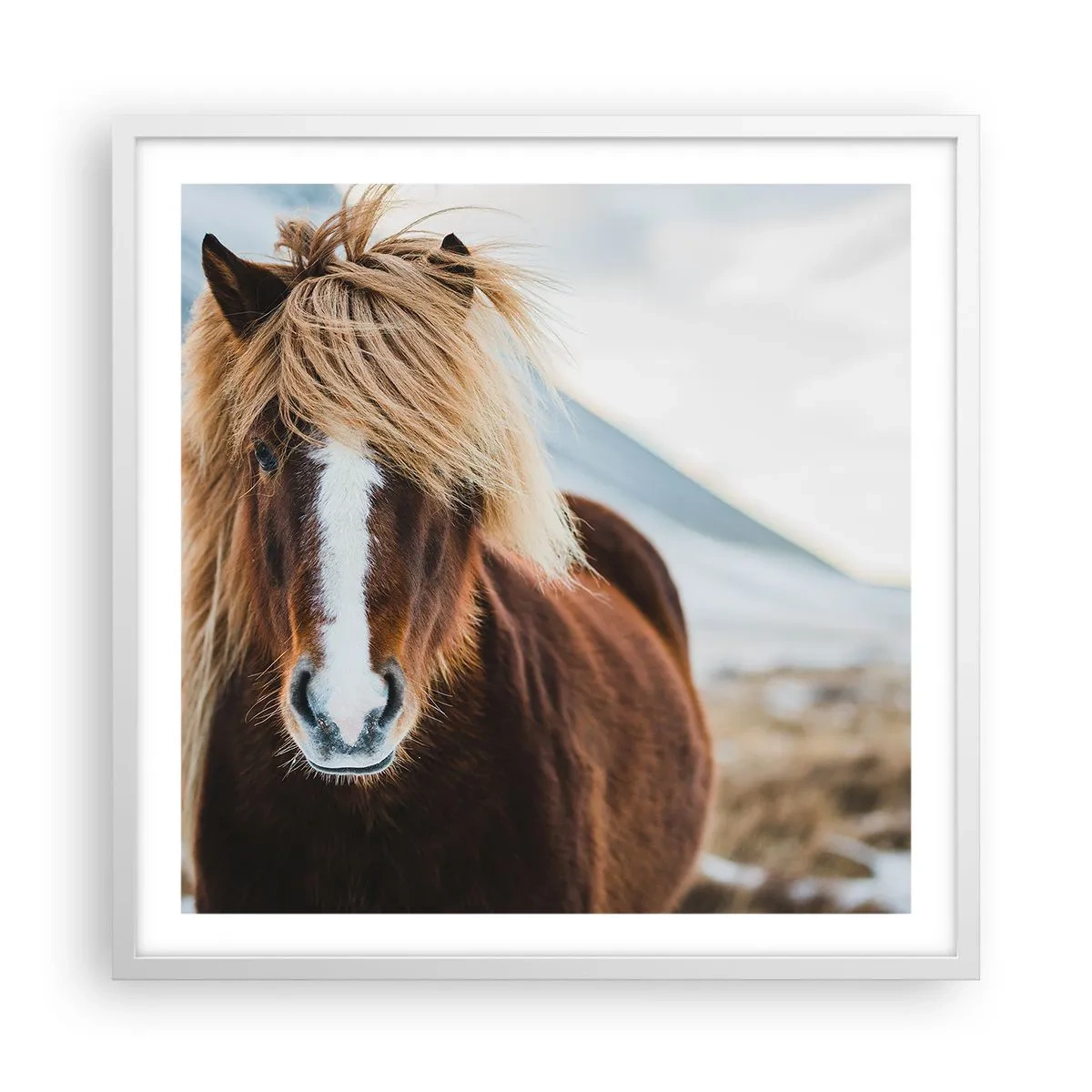 Poster in einem weißen Rahmen - Spürst du die Freiheit? - 60x60 cm