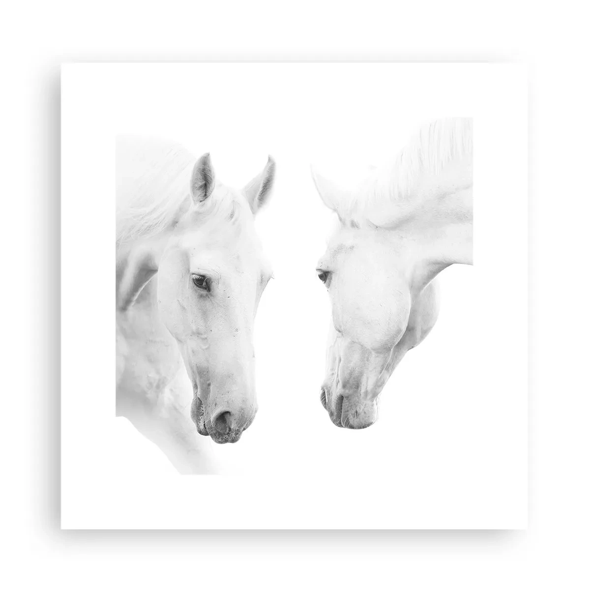 Poster - Ist das Freundschaft...? - 30x30 cm