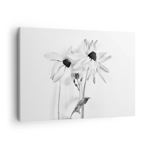 Bild auf Leinwand - Leinwandbild - Schwarz-weiße Blumen mit subtiler Komposition - 70x50cm - Niemand will allein sein - Moderne Wanddekoration für Wohnzimmer und Schlafzimmer ARTTOR