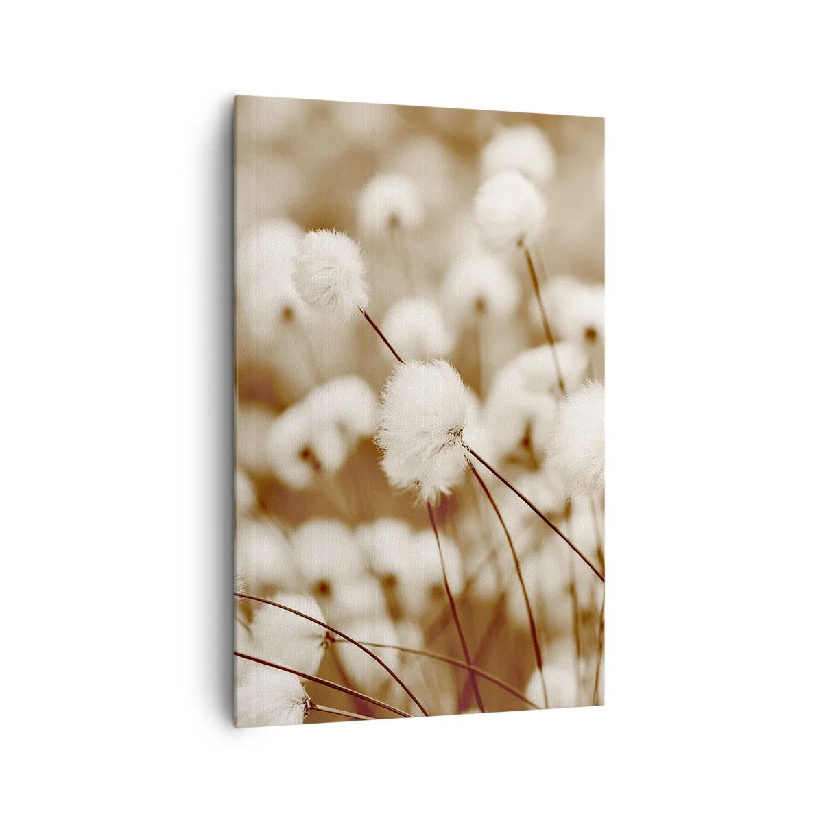 Bild auf Leinwand - Leinwandbild - Ein Feld mit zarten Pflanzen in Sepiatönen - 80x120cm - Flauschiges Kornfeld - Moderne Wanddekoration für Wohnzimmer und Schlafzimmer ARTTOR