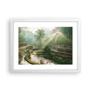 Poster in einem weißen Rahmen - In der Sonne aufwachsen - 40x30 cm