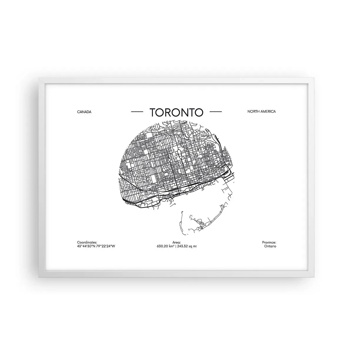 Poster in einem weißen Rahmen - Anatomie von Toronto - 70x50 cm