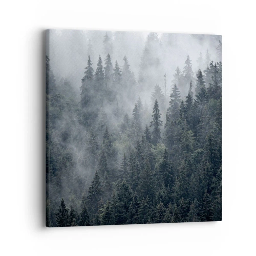 Bild auf Leinwand - Leinwandbild - Walddämmerung - 40x40 cm