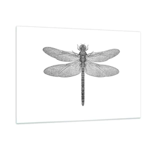 Glasbild - Bild auf glas - Detaillierte Darstellung einer Libelle im Gravurstil auf weißem Hintergrund - 120x80cm - Präzision der Natur - Moderne Wanddekoration für Wohnzimmer und Schlafzimmer ARTTOR