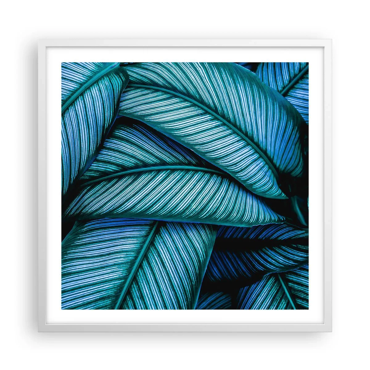 Poster in einem weißen Rahmen - Lebenslinien - 60x60 cm