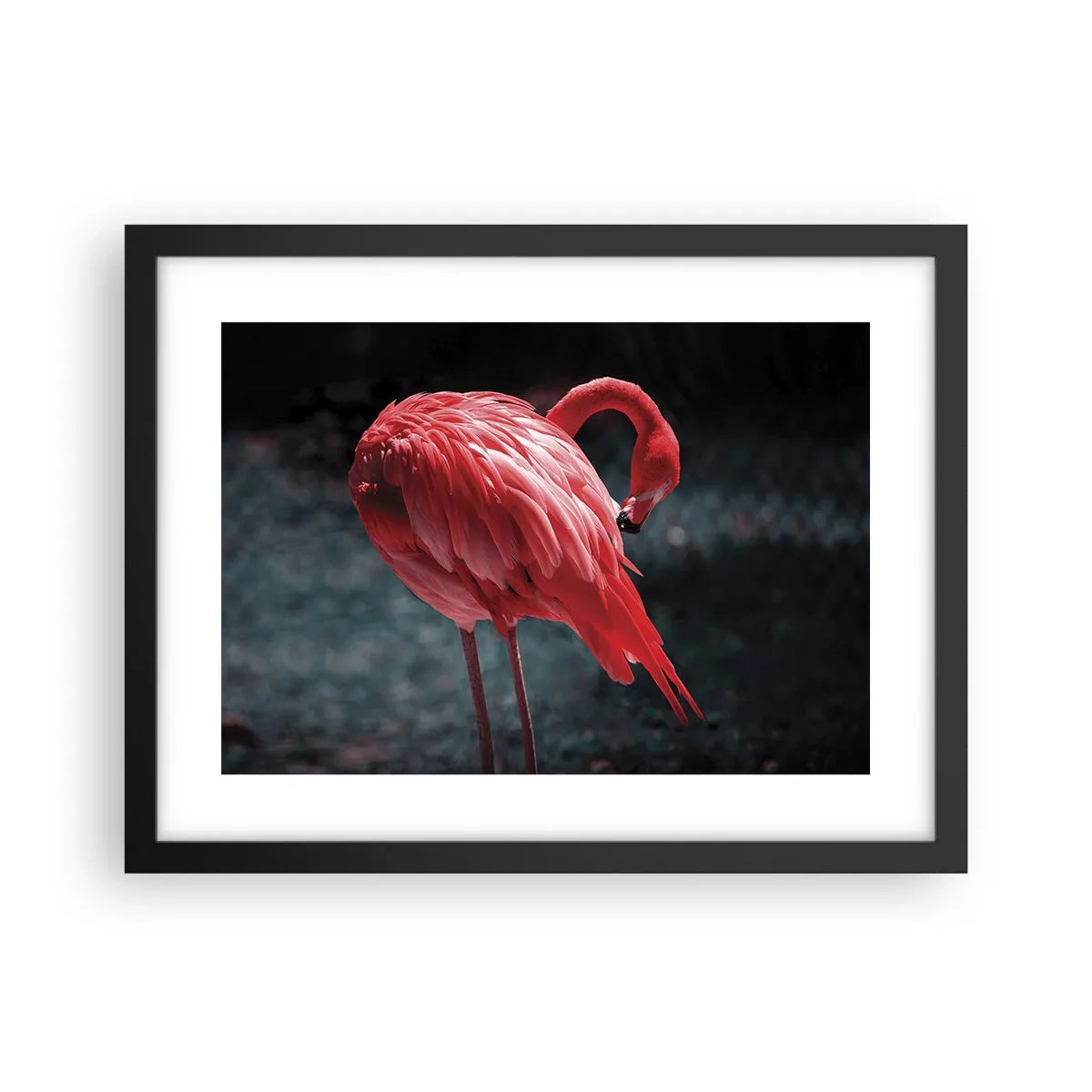 Poster in einem schwarzem Rahmen - Ein purpurrotes Gedicht der Natur - 40x30 cm