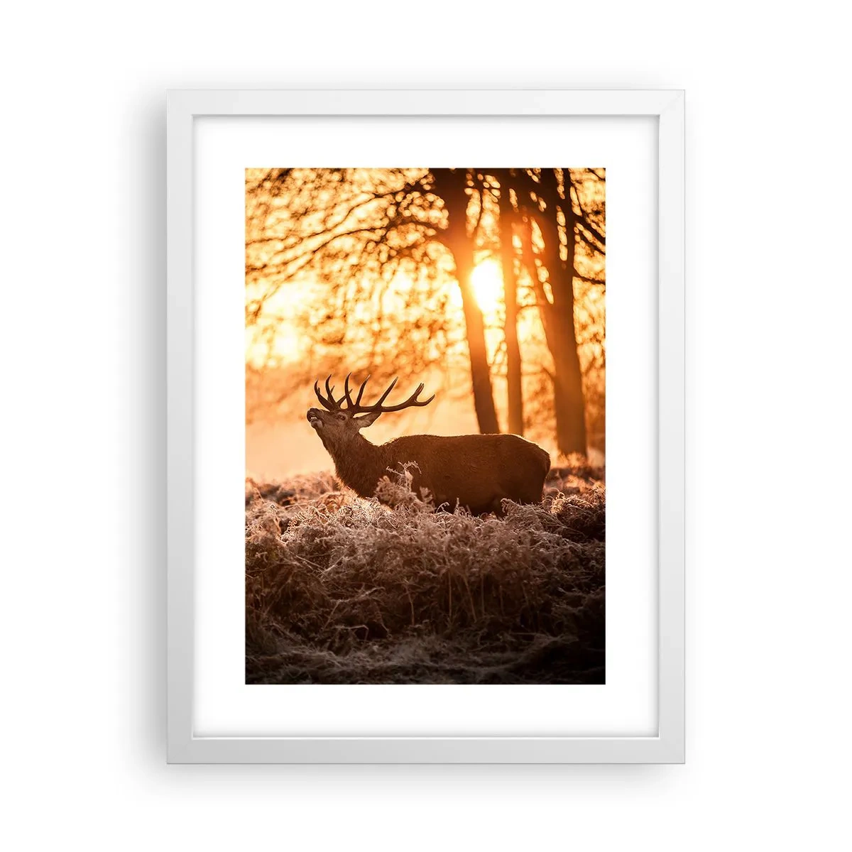 Poster in einem weißen Rahmen - Der Traum eines Jägers - 30x40 cm