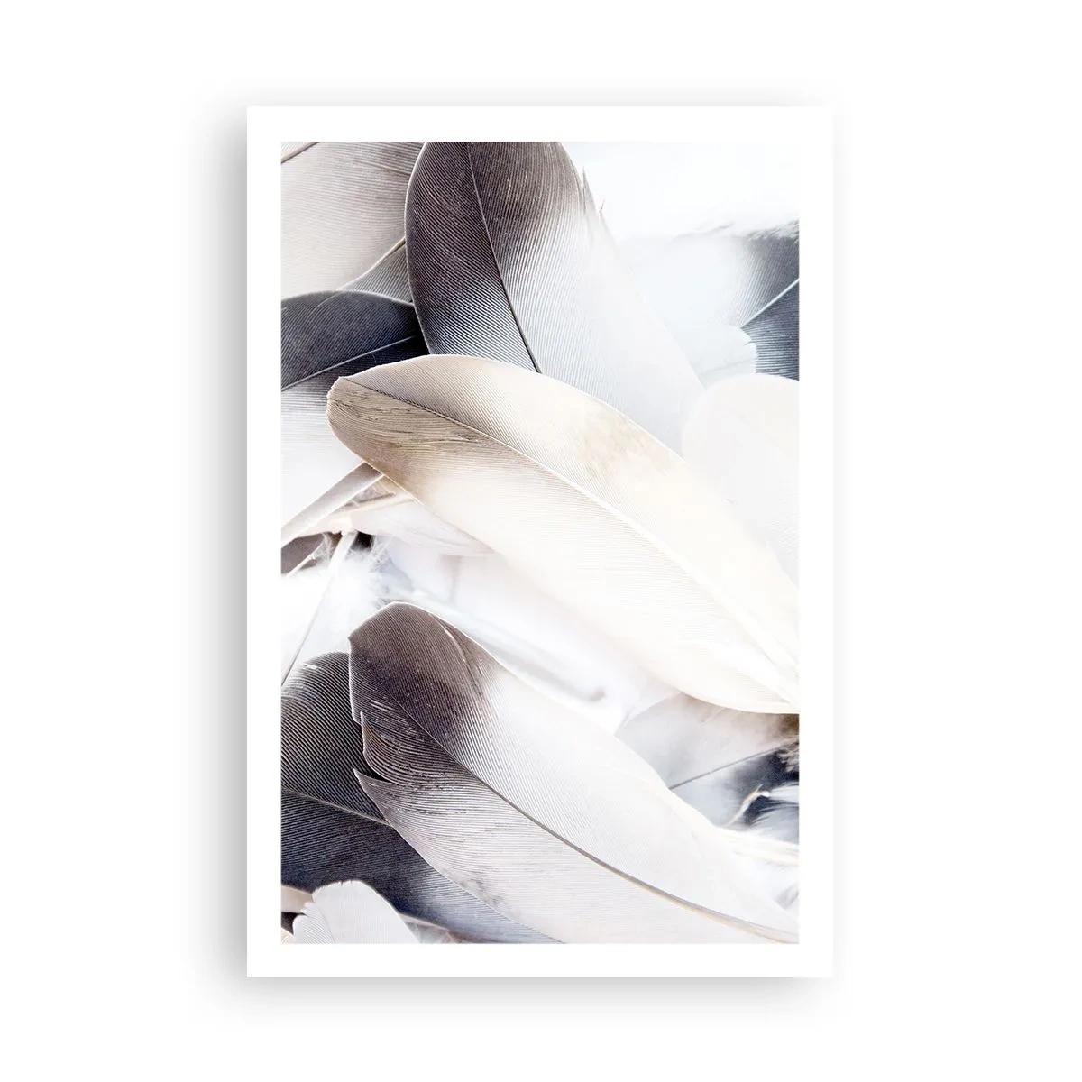 Poster - Fast engelhaft - 61x91 cm