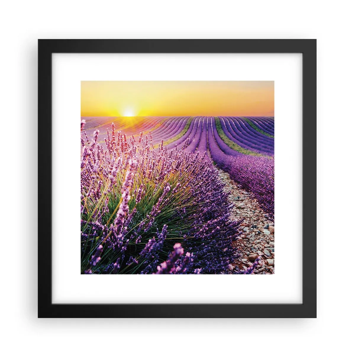 Poster in einem schwarzem Rahmen - Duftende Kornfelder - 30x30 cm