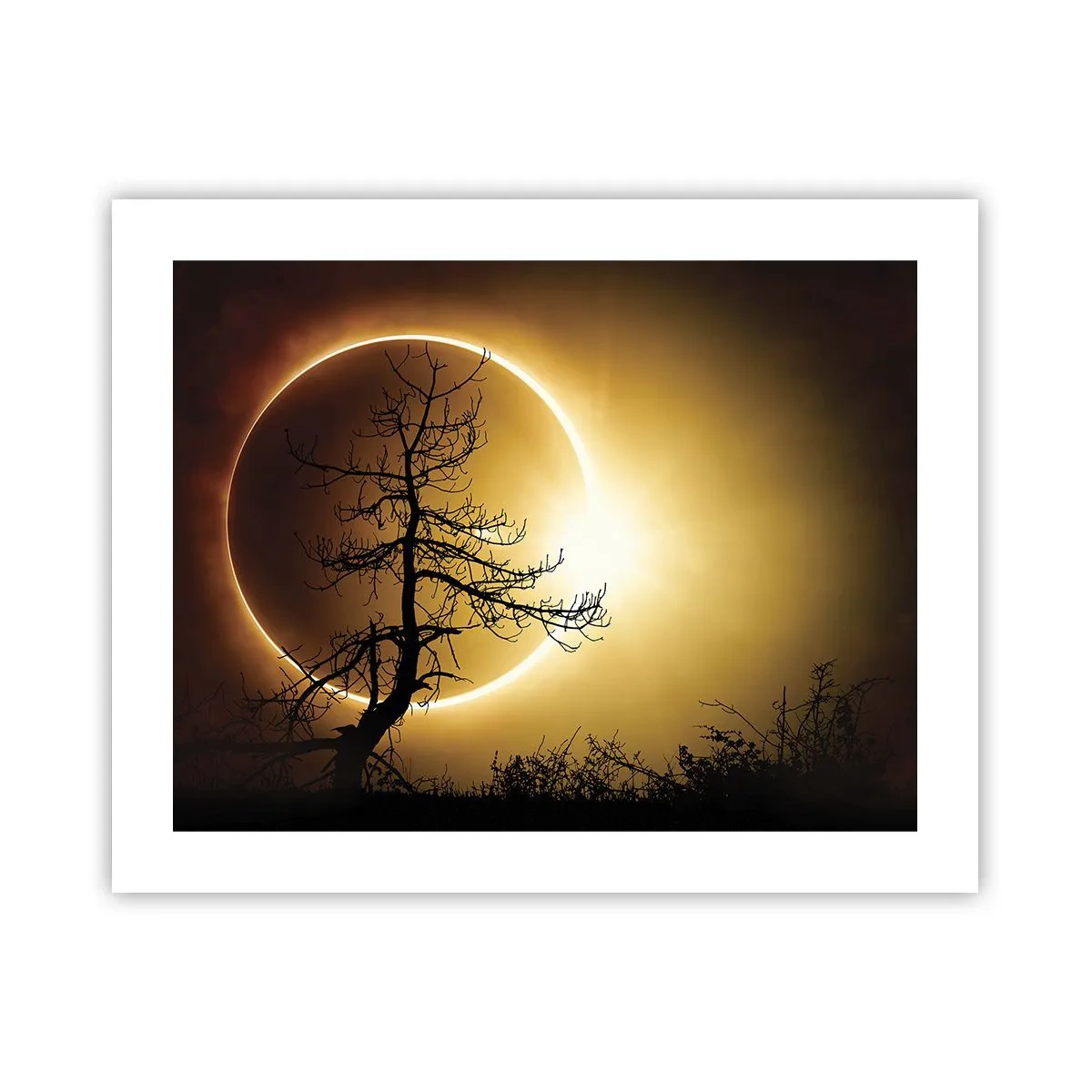 Poster - Totale Finsternis - 50x40 cm