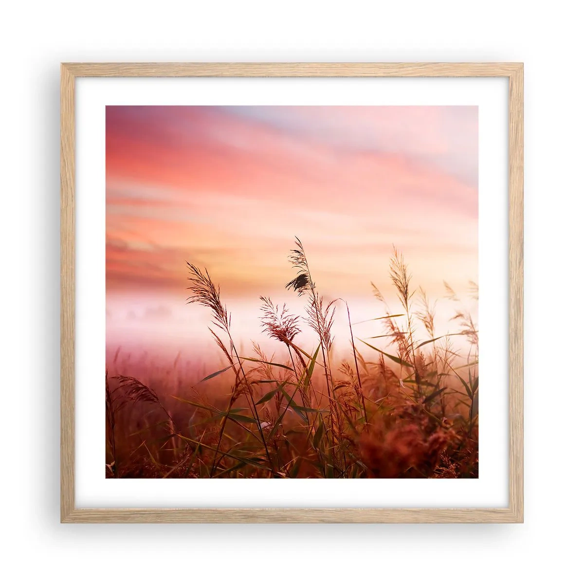 Poster in einem Rahmen aus heller Eiche - Drachen, Löwenzahn, Wind - 50x50 cm