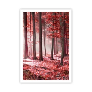 Poster - Rot ist genauso schön - 70x100 cm