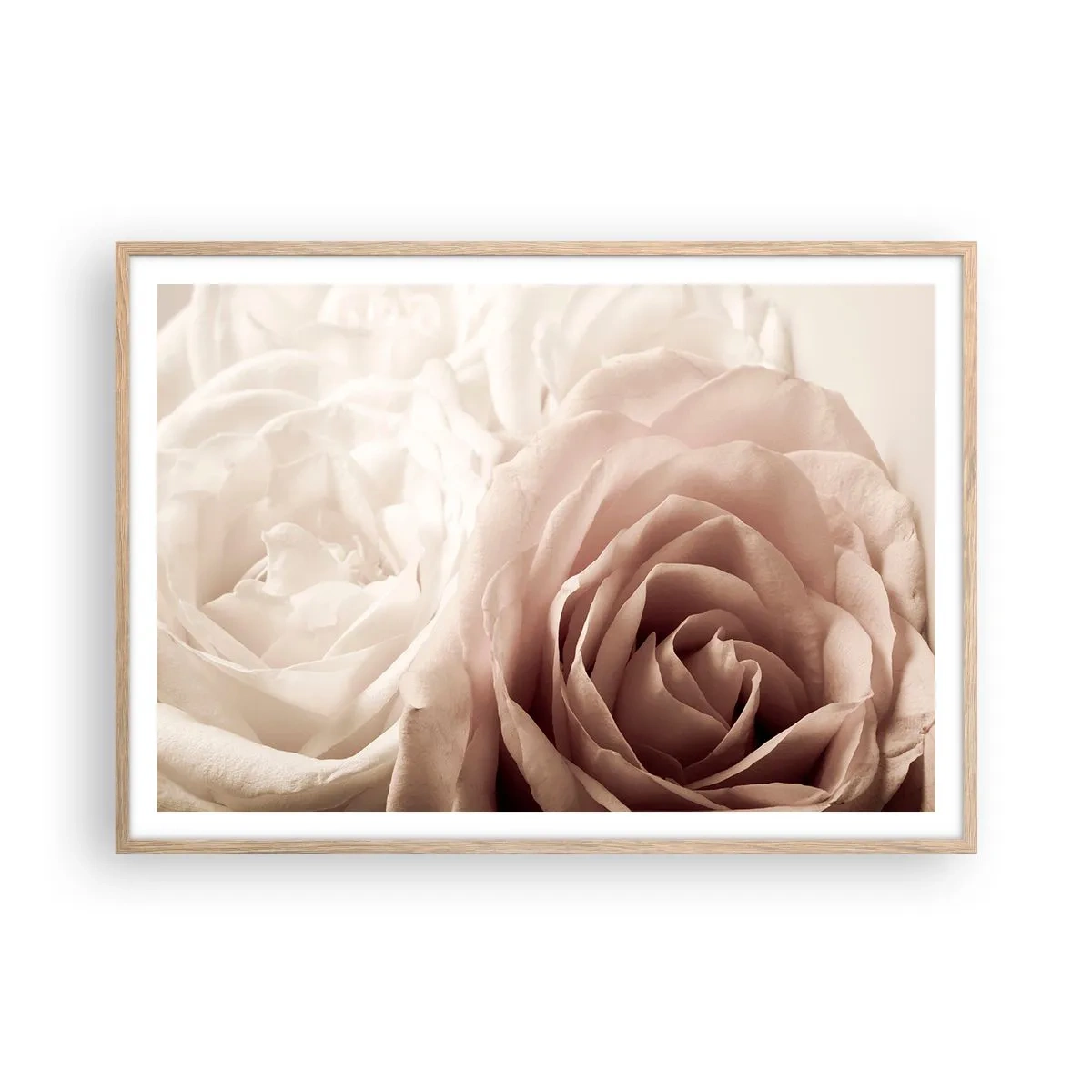 Poster in einem Rahmen aus heller Eiche - Im Herzen der Rose - 100x70 cm