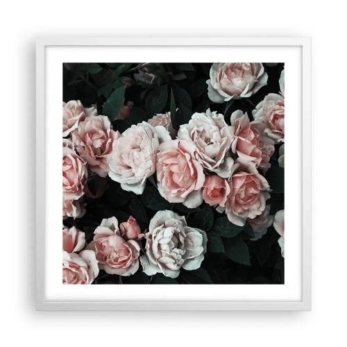 Poster in einem weißen Rahmen - Rosen-Ensemble - 50x50 cm