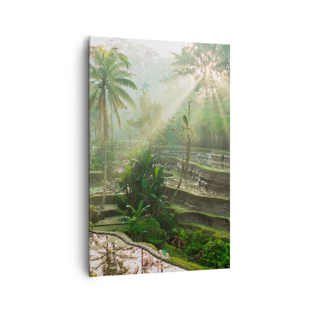 Bild auf Leinwand - Leinwandbild - Reisterrassen mit Palmen in den Sonnenstrahlen - 80x120cm - In der Sonne aufwachsen - Moderne Wanddekoration für Wohnzimmer und Schlafzimmer ARTTOR