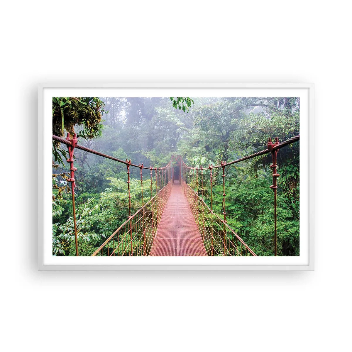 Poster in einem weißen Rahmen - Über den Kronen aufgehängt - 91x61 cm