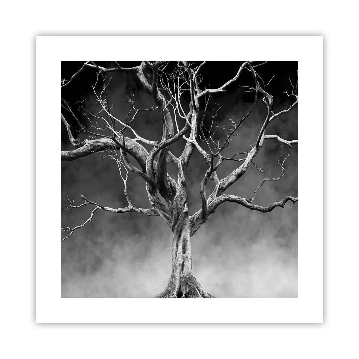 Poster - Ursprünglich und heilig - 40x40 cm