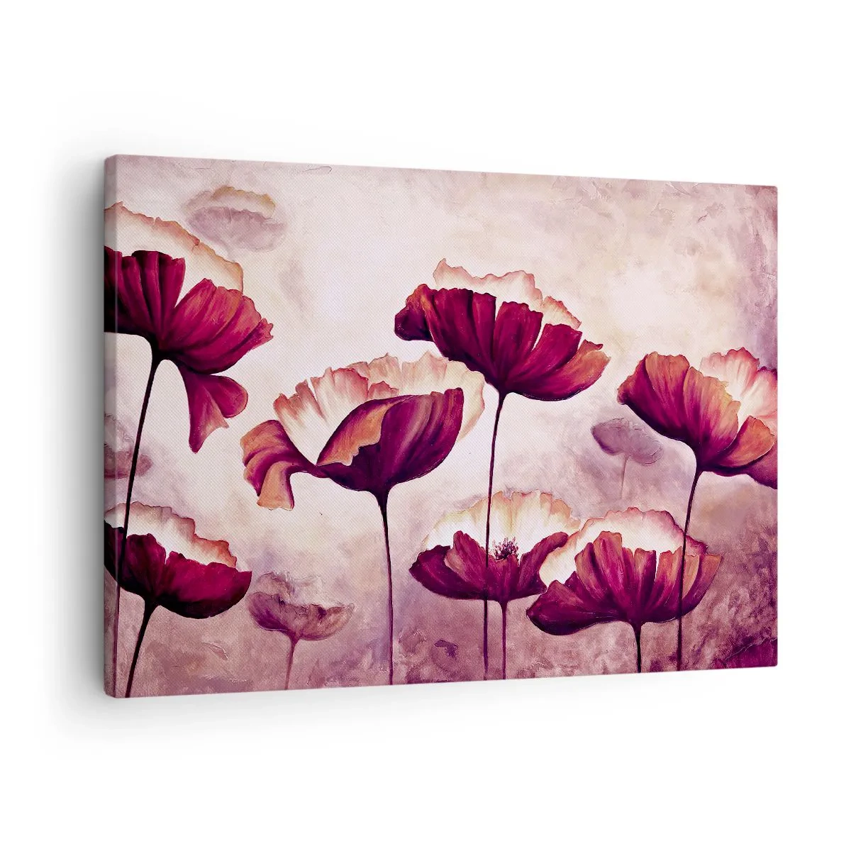 Bild auf Leinwand - Leinwandbild - Blumen in Rot- und Weißtönen auf dezentem Hintergrund - 70x50cm - Rotes und weißes Blütenblatt - Moderne Wanddekoration für Wohnzimmer und Schlafzimmer ARTTOR