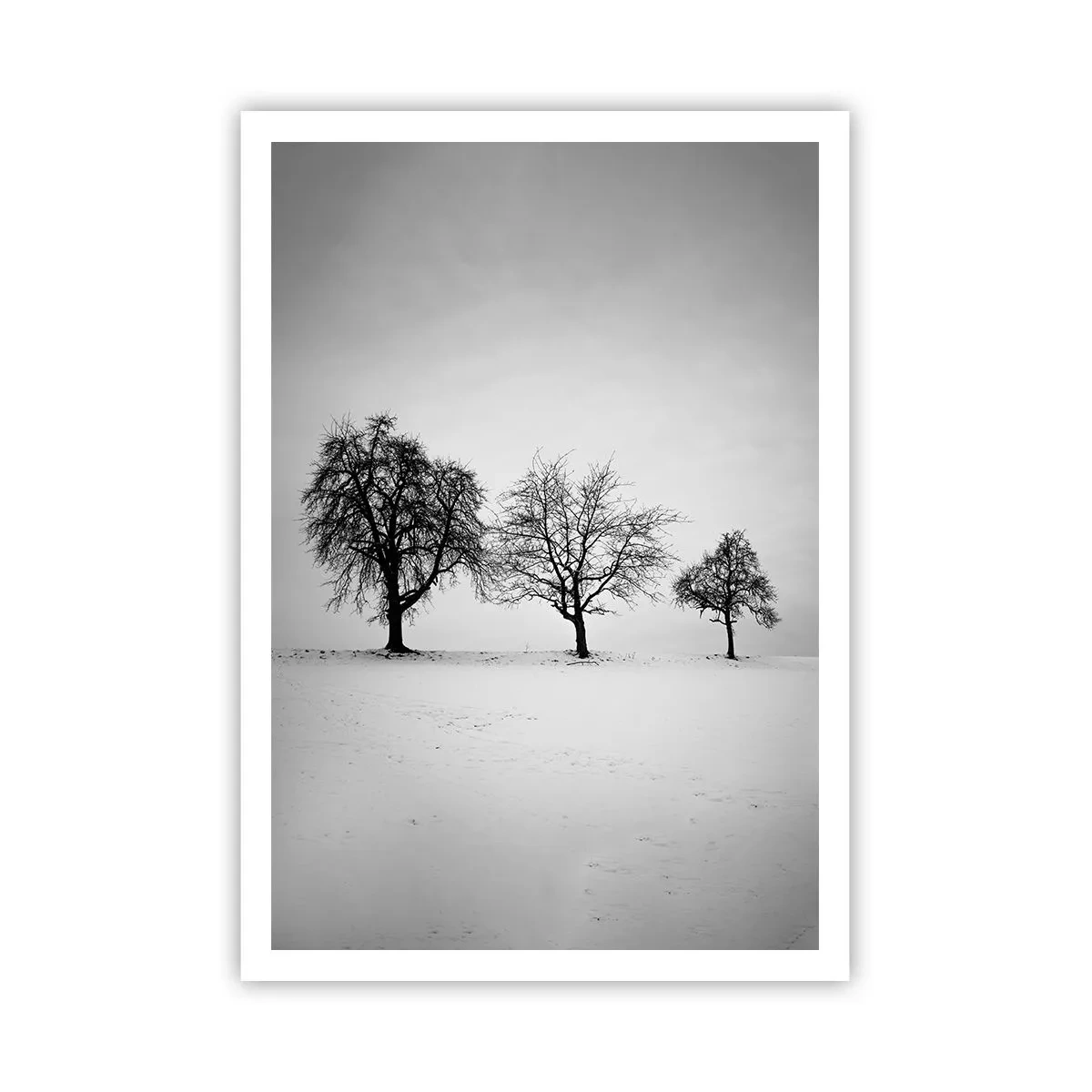 Poster - Wovon träumen sie? - 70x100 cm