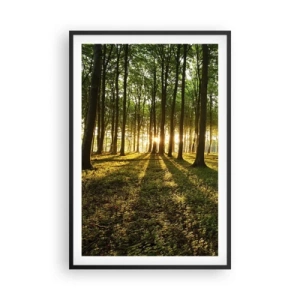 Poster in einem schwarzem Rahmen - Alle Frühlingsfotografie - 61x91 cm
