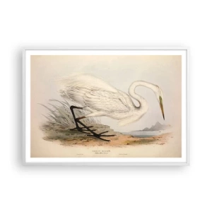 Poster in einem weißen Rahmen - Dame auf den Binsen - 100x70 cm