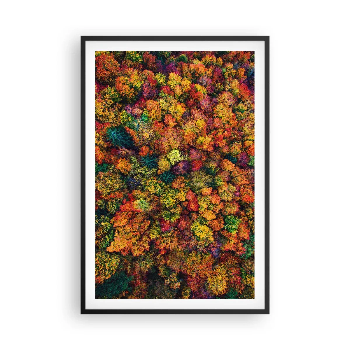 Poster in einem schwarzem Rahmen - Blumenstrauß aus Herbstbäumen - 61x91 cm