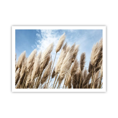 Poster - Zarte Pampasgräser vor blauem Himmel mit leichten Wolken - 100x70cm - Sonnige und windige Liebkosungen - Moderne Wanddekoration für Wohnzimmer und Schlafzimmer ARTTOR