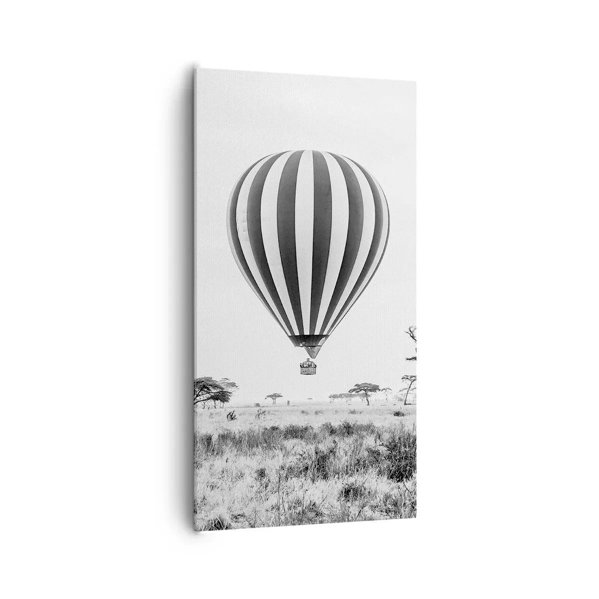 Bild auf Leinwand - Leinwandbild - Über der Savanne - 65x120 cm