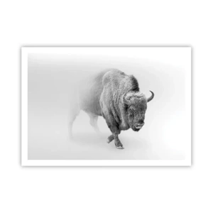 Poster - Weißer Bison in minimalistischem Ambiente - 100x70cm - König der Prärie - Moderne Wanddekoration für Wohnzimmer und Schlafzimmer ARTTOR