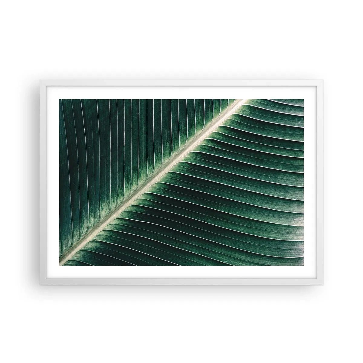 Poster in einem weißen Rahmen - Rhythmus der Natur - 70x50 cm