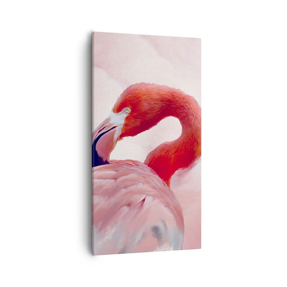 Bild auf Leinwand - Leinwandbild - Vogel Schönheit - 55x100 cm