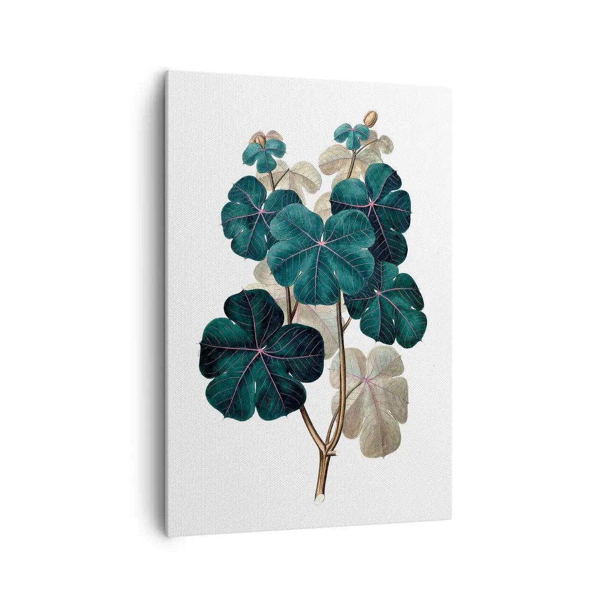 Bild auf Leinwand - Leinwandbild - Botanische Illustration mit Blättern in Grün- und Beigetönen - 70x100cm - Aus dem alten Herbarium - Moderne Wanddekoration für Wohnzimmer und Schlafzimmer ARTTOR