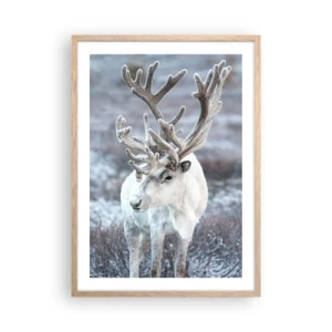 Poster in einem Rahmen aus heller Eiche - Porträt in der Sonne - 50x70 cm