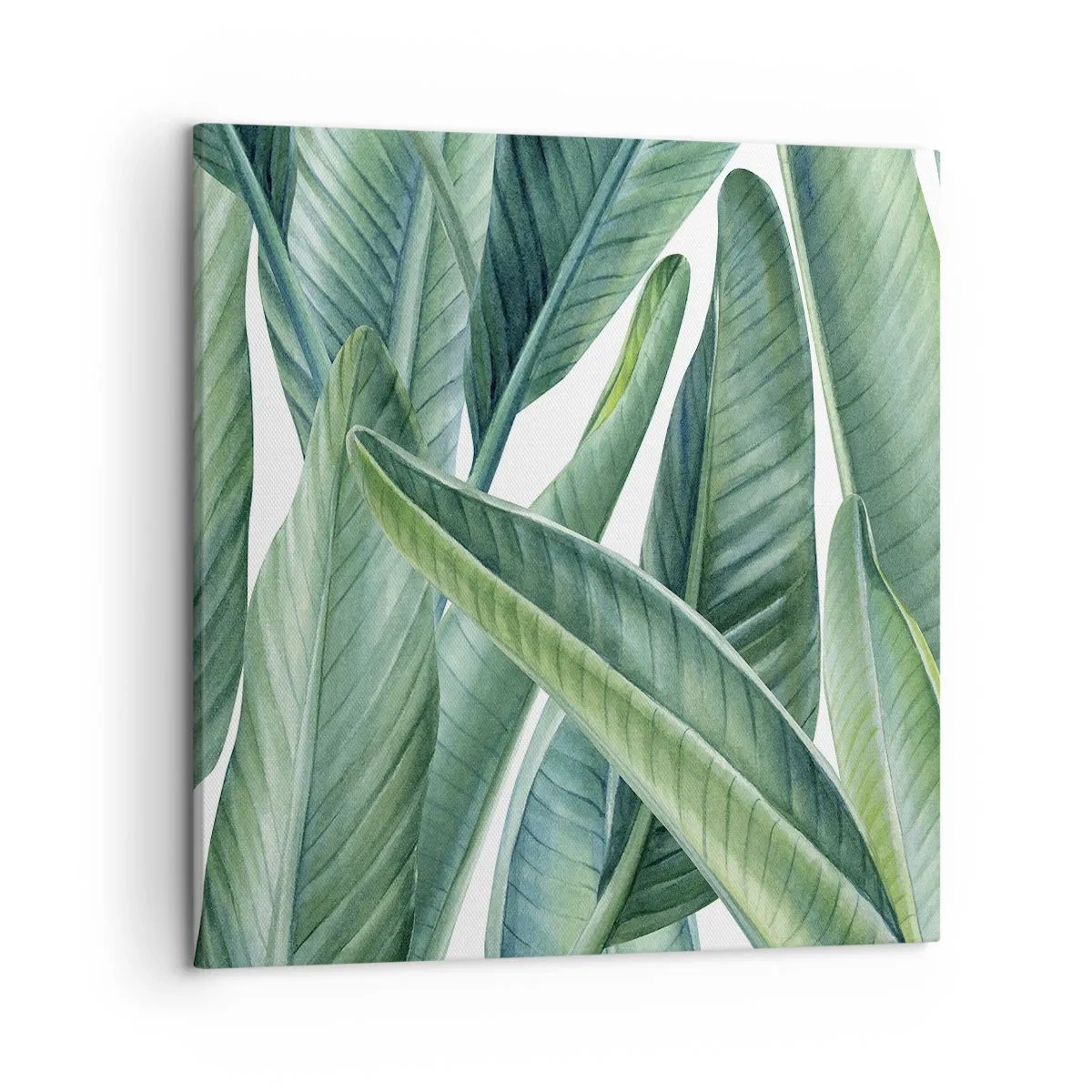 Bild auf Leinwand - Leinwandbild - An und für sich Grün - 50x50 cm