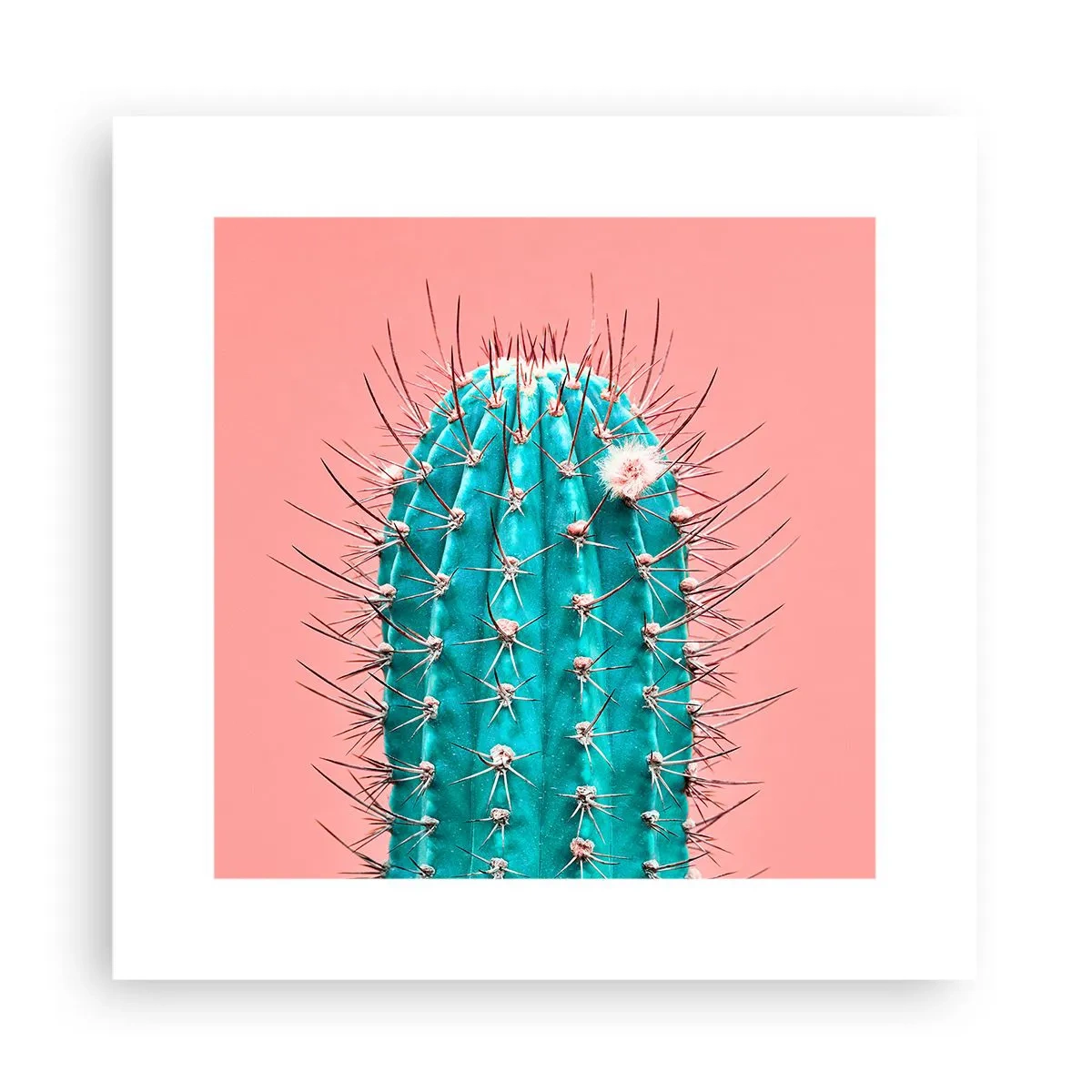 Poster - Schau einfach hin - 30x30 cm