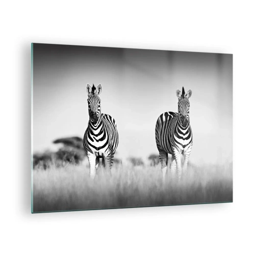 Glasbild - Bild auf glas - Ein Zebrapaar vor einem schwarz-weißen Grashintergrund, dargestellt in ihrem natürlichen Lebensraum. - 70x50cm - Die Welt ist doch schwarz-weiß - Moderne Wanddekoration für Wohnzimmer und Schlafzimmer ARTTOR