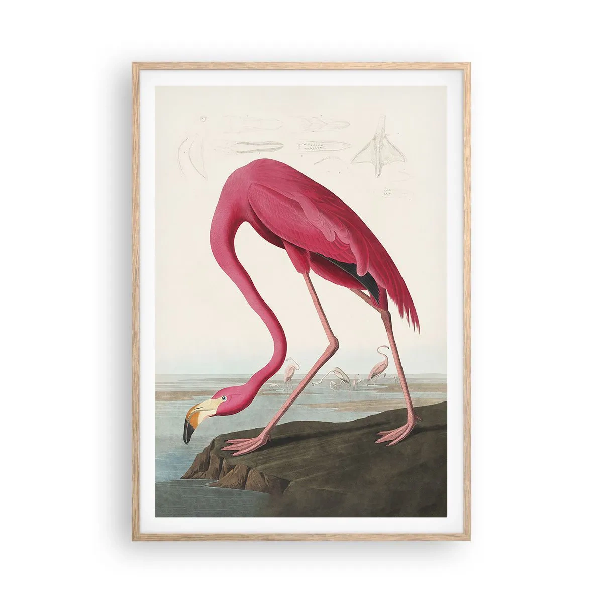 Poster in einem Rahmen aus heller Eiche - Erstaunliche Kreation - 70x100 cm