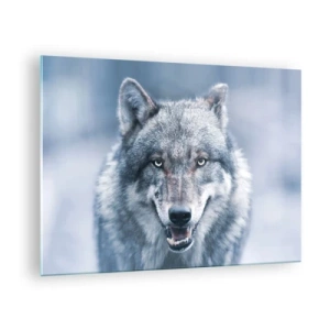 Glasbild - Bild auf glas - Ein Wolf mit durchdringendem Blick vor dem Hintergrund eines verschneiten Waldes - 70x50cm - Werden Sie die Herausforderung annehmen? - Moderne Wanddekoration für Wohnzimmer und Schlafzimmer ARTTOR
