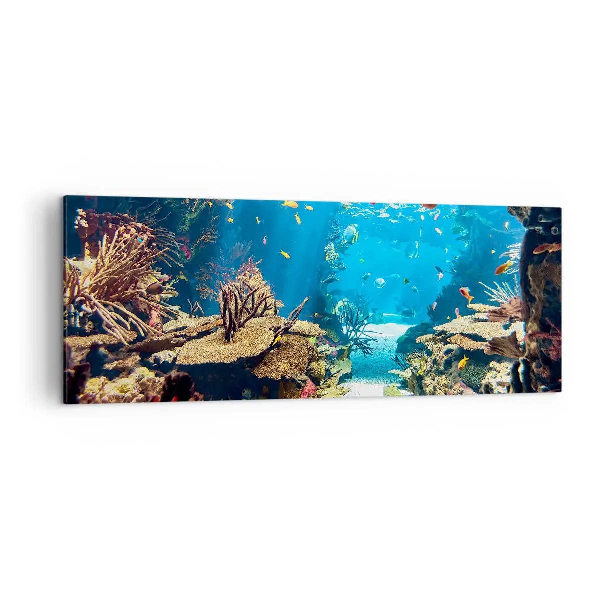 Bild auf Leinwand - Leinwandbild - Unterwasserwelt mit Korallenriff und Fischen - 140x50cm - Du hast es noch nicht einmal geträumt - Moderne Wanddekoration für Wohnzimmer und Schlafzimmer ARTTOR