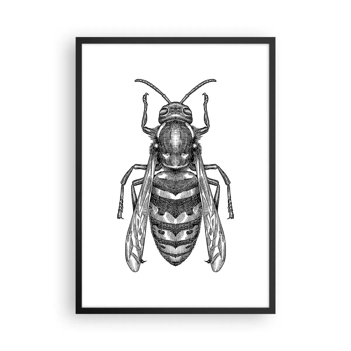 Poster in einem schwarzem Rahmen - Detaillierte Darstellung einer Wespe - 50x70cm - Von einem Insektenplaneten - Moderne Wanddekoration für Wohnzimmer und Schlafzimmer ARTTOR