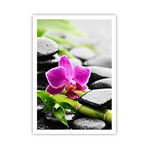 Poster - In ruhiger Balance - 70x100 cm