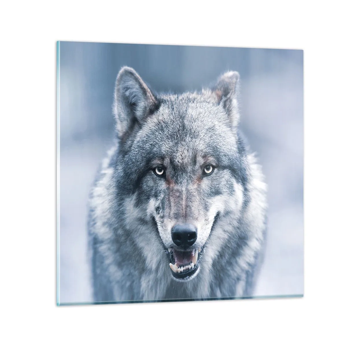 Glasbild - Bild auf glas - Werden Sie die Herausforderung annehmen? - 70x70 cm