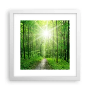 Poster in einem weißen Rahmen - Die grüne Kathedrale - 30x30 cm